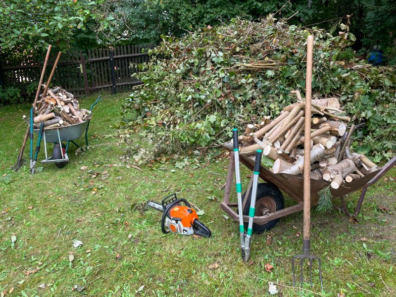 Garden Shed Removal Service
